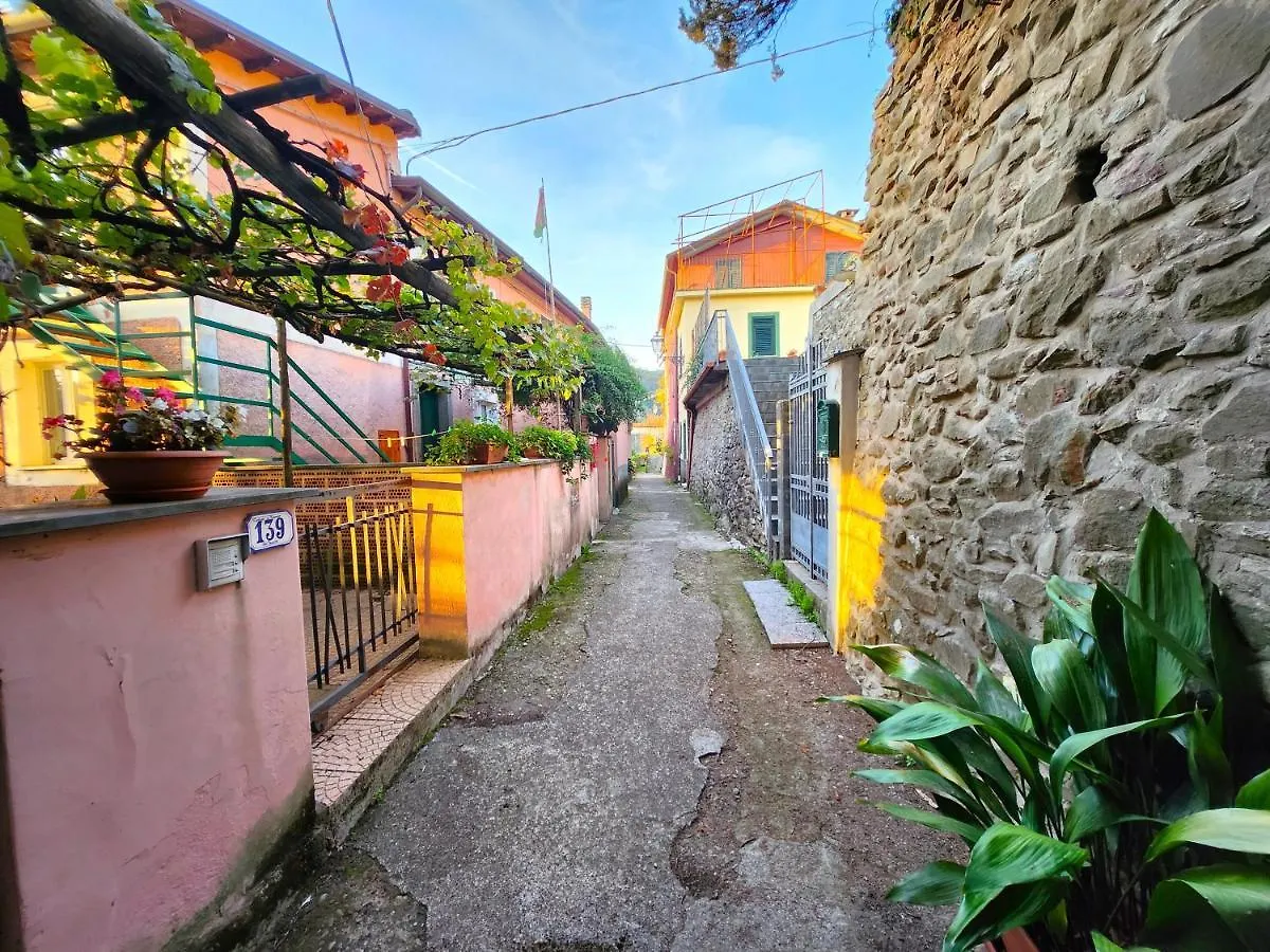 Apartment Casa Villa Pignone Italy